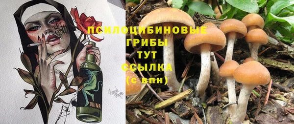 бошки Абинск