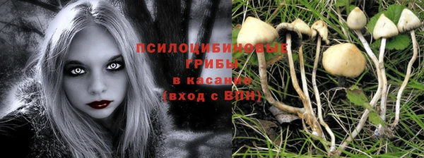 бошки Абинск