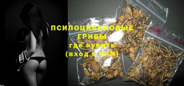 Альфа ПВП Абаза