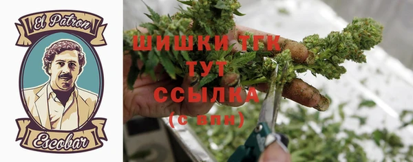 Альфа ПВП Абаза